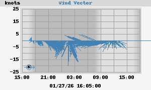 Wind Vector, Kinsale